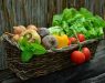Се очекува одлука кои видови зеленчук и овошје ќе бидат со замрзнати цени: ДАЛИ ЌЕ ЗАМРЗНЕ И ЦЕНАТА НА КРОМИДОТ?