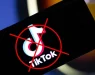 Француската Влада забрани ТикТок и Нетфликс за сите службеници во јавната управа