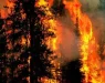 Стотици шумски пожари вон контрола во Канада