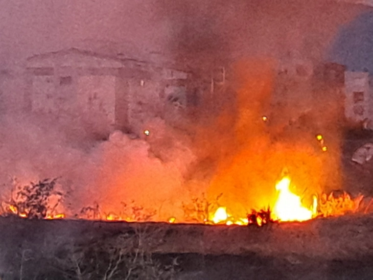 Пожарот во борова шума кај Црник е под контрола