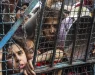 МСП му наложи на Израел да отвори копнени премини за хуманитарна помош за Појасот Газа