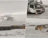 Страшна сцена поради дождот во Емирати, авионот едвај се движи по пистата! Откажани летови (ВИДЕО)