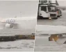 ,,Поплава на судниот ден!” Страшна сцена поради дождот во Емирати, авионот едвај се движи по пистата: Суспендирани летови (ВИДЕО)