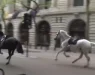 ДРАМА ВО ЛОНДОН: Побегнати коњи собориле јавачи и предизвикале хаос, трчале по улици извалкани со крв (ВИДЕО)
