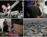 Бројот на загинати Палестинци во Газа надмина 34.300, израелските напади не стивнуваат