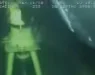 НИКОЈ НЕ МОЖЕЛ ДА ПОВЕРУВА: Научниците нурнале во најдлабоките делови на океанот, а кога ги поставиле камерите, ТОЈ се појавил пред нив (ВИДЕО)