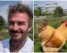 Дејвид Бекам се пофали со своето ново хоби, фановите: „Дури и твоите кокошки изгледаат добро“