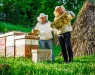 Ова е најголемиот пчеларник во светот: Нивниот мед е надалеку познат, а за оваа зграда се грижат 250 пчелари