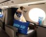 Авиокомпанија сите кучиња ќе ги превезува во прва класа