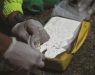 Запленети 1,8 тони кокаин во близина на островот Сен Мартин