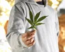 Американската држава Мериленд ќе поништи повеќе од 100.000 пресуди за употреба на марихуана
