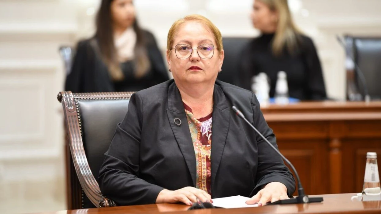 Јаневска за врсничкото насилство: Ако нема помош од родителите, нема успех