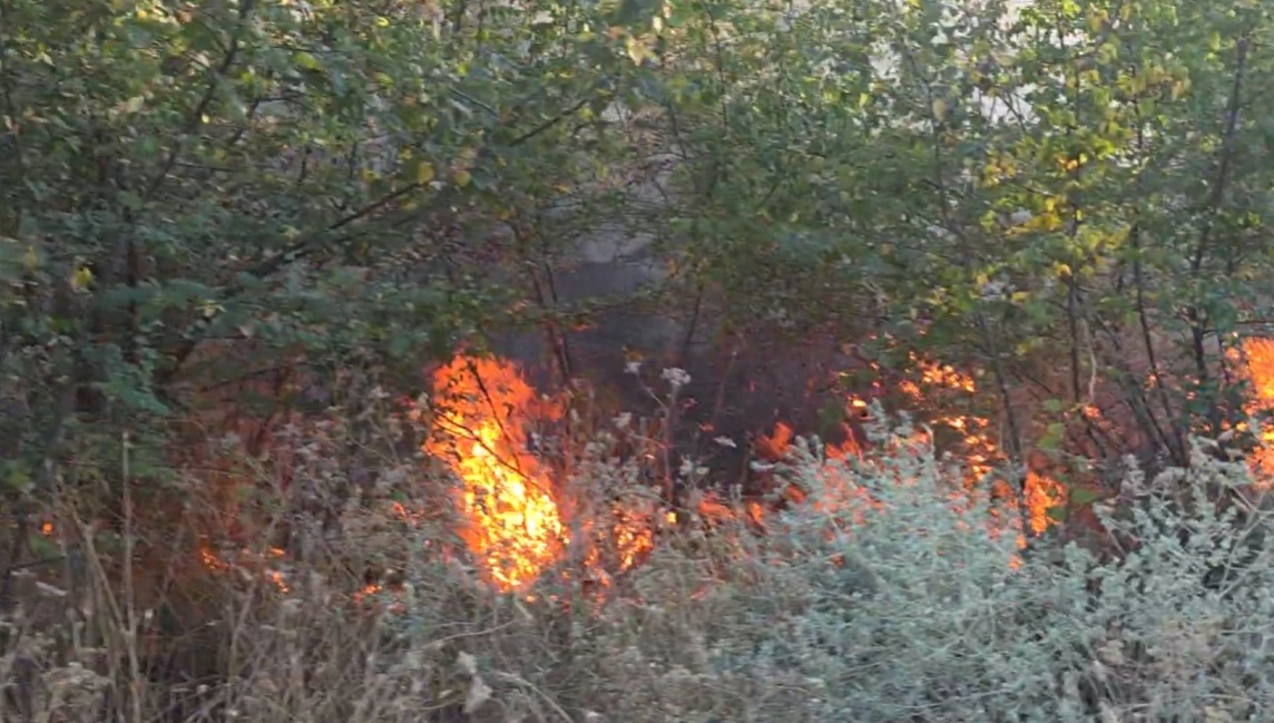 Велешанец палел трева и отпад во дворот, па пожарот се проширил низ цел рид — полицијата го уапси